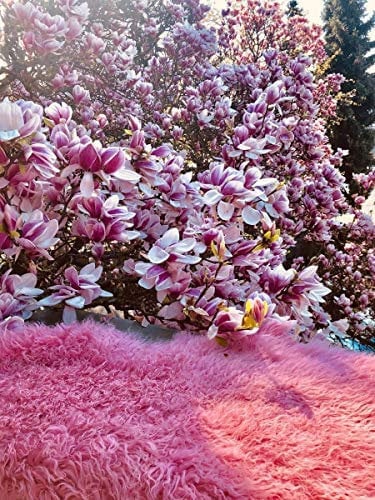 Hollert Lammfell Tibet Sheepskin Monglolisches Schaffell gelockt sehr weich Echtfell Dekoration Läufer Teppich Größe 100-110, Farbe Pink