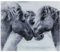 WENKO Paroi arrière en verre Horses, anti-éclaboussure pour la cuisinière ou l'évier, protège-mur avec motif de cheval, verre trempé, 60 x 50 cm, gris