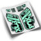 Adesivi Forcella Fox 36 Performance 2021 Colori WP431 Menta