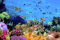 alottagifts Fisch-Aquarium-LED-beleuchtete Wandkunst mit Timer-Kunstdruck-Designs auf Leinwand, modernes Kunstwerk für Wohnzimmer/Esszimmer/Heimdekoration, Geschenk (Fisch-Aquarium, 40,6 x 30,5 cm)