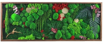 HelloMoss, Moosbild XXL, Moosrahmen, Gepresster Blumenrahmen, Wald an Ihrer Wand, Mooswand Lebend, Grüne Wandkunst, Wanddekoration, Luxus Deko