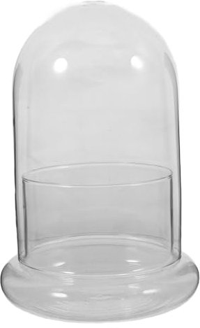 BESPORTBLE Terrario De Transparente para Plantas Tapa Maceta Decorativa para Interior y para Crear Paisajes Naturales Espacios Compactos
