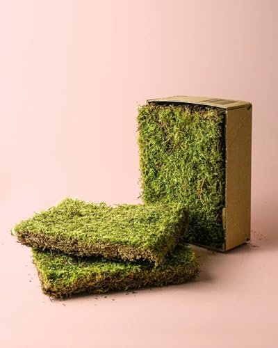 Musgo Natural [Vivo y Seco] | Para Terrario | Pur Plant