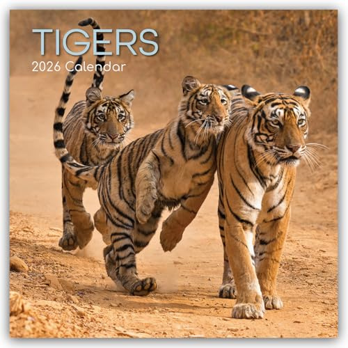 Tigers – Tiger 2026 – 16-Monatskalender: Original The Gifted Stationery Co. Ltd [Mehrsprachig] [Kalender] (Wall-Kalender)
