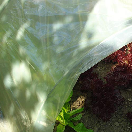 TENAX Sun Film 2,00x5 m Amarillo, Film Protector Impermeable de Plástico para Cubrir Túneles y Invernaderos, Protección de Cultivos en el Huerto