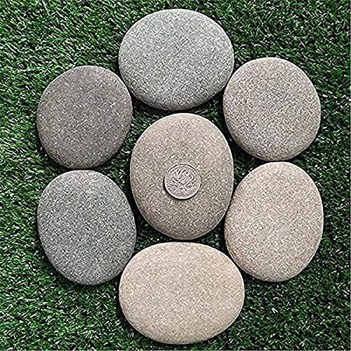 JOOLEE Groß Flache Steine/Kiesel zum Bemalen & Garten Kieselsteine Kies Dekosteine Naturstein Marmorkies Zierkies für Gartendeko - Natur Aquarium Deko Stein Gartensteine Weiss Gross 5-8cm