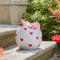 Marco Paul Large Outdoor Flower Hen Planter Indoor Plant Pots for Herbs, Vegetables, Succulents Plants Garden Planter Tray Flower Pot Chicken Love Heart Planter