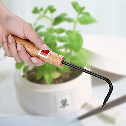 FILFEEL Bonsai Wurzelhaken, Holzgriff Bonsai Hook Sturdy Haken Gartenbau Unkraut Haken Gartenbonsai für Garten Im Freien Gräber Kultivierende Unkraut Entfernen