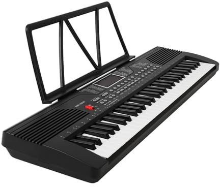 Dilwe Electric Keyboard Piano, 61 Key, Multi Function Electric Piano with Microphone Audio Cable Sheet Music Stand for Beginner