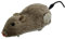 Maus-Katzenspielzeug, Plüsch-Katzenspielzeug Zum Aufziehen, Kätzchen-Stofftier, Weiche Und Verspielte Aufziehmaus Für Kätzchen, Dekoratives Katzenjagdspielzeug, Haustier-Katzenkätzchen Zum Spielen Und