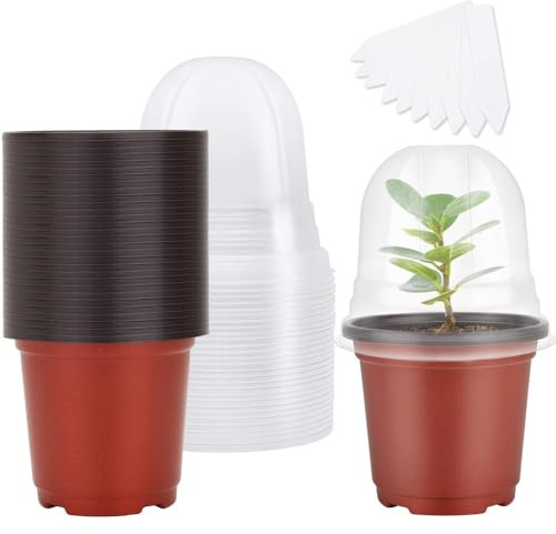 Voarge 10 macetas de 10 cm con tapa de cúpula, color marrón, pequeñas macetas de plástico con cúpula de humedad y 10 tapones para plantas, macetas redondas para semillas, plántulas