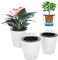 ORIMERC Paquete de 6 macetas Colgantes Verticales de riego automático para jardín, Montaje en Pared, Ventana, contenedor Redondo de plástico para Interiores y Exteriores, para Plantas, Flores