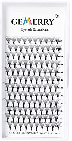 Extension Cils 12D Bouquets Pre Fait Cils 0.07mm D curl Volume Russe 8-14mm Mix Faux Cils Individuel Volume Lash Extensions de GEMERRY (0.07-12D-D curl-mix)
