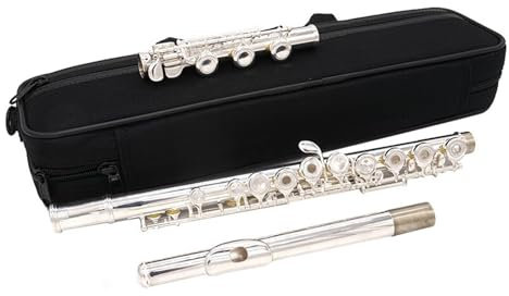 Querflöten Flöteninstrument C-Tonart Anfänger Profi 17 Löcher