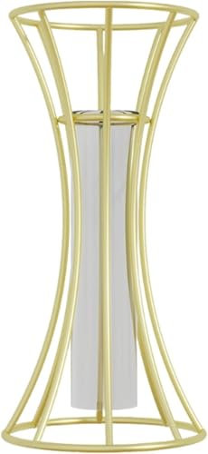 Gcljlmy Glass Flower Vase, Decorative Vase, Minimalist Desktop, Dirt Flower Container for Entrance, Gift Decoration (Funnel Shaped)
