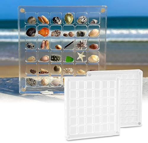 RAFIYU 2 Stück Acrylic Magnetic Seashell Display Box, Muschel-Displaybox, Muschel Sammelbox, Klare Aufbewahrungsbox für Muscheln, Perlen, Diamanten, Edelsteine(36 Grids + 64 Grids)