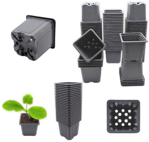 Verdonia 70 Godets Plastique 8cm pour Semis, Repiquage, Bouturage Réutilisables et Résistants - Pots Pratiques avec Trous de Drainage – Pot en Plastique pour Culture des Jeunes Plantes