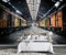 MIWEI Wallpaper Papier Peint Panoramique Ruines Industrielles Rétro Papier Peint Nature Intissé Murale Chambre Salon -D031-350cmX256cm