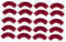 HANABASS 20 Pièces Cintreuses de Plantes Degrés Lot de Outils de Formation pour Branches Arbres Fruitiers Durable pour Pommiers Pêchers Orangers Poivriers