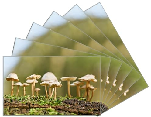 Wallario 6er Set Frühstücksbrettchen aus Glas, Glasunterlage, Glasbrettchen Pilze auf Baumstamm, Größe 14 x 23 cm, Sicherheitsglas