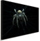 AK ART Spinne Spinnennetz Leinwandbild Kunstdruck Mehrfarbig Wandbild Wanddeko (60 x 40 cm)