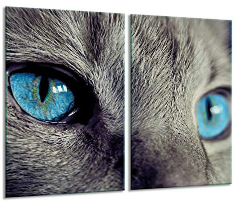 Herdabdeckplatten Ceranfeldabdeckung Spritzschutz Glas 2x30x52 Katze