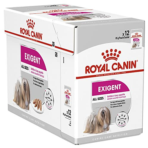 ROYAL CANIN Exigente Mousse | 12 x 85 g | Nassfutter für ausgewachsene Hunde ab dem 10. Lebensmonat | Für wählerische Hunde | Mit hochwertigen Proteinen