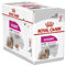 ROYAL CANIN Exigente Mousse | 12 x 85 g | Nassfutter für ausgewachsene Hunde ab dem 10. Lebensmonat | Für wählerische Hunde | Mit hochwertigen Proteinen