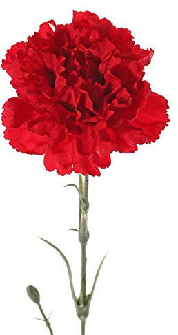 artplants.de Kunstblume Nelke VANERA, rot, 60cm, Ø8cm - Plastik Nelke