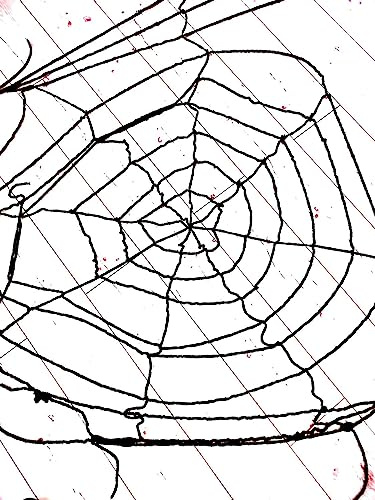 Luna24 simply great ideas... Dekoration Spinnennetz XXL Format in schwarz oder weiß wählbar 15172 Halloween (schwarz) Halloween deko, Bastelideen Halloween.
