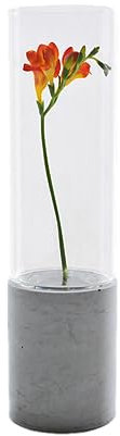 GODELMANN Vase aus hochwertigem Beton - handgefertigt Ø 10cm x Höhe 38cm in Grau I Blumenvase mit passgenauem Glas - mineralimprägniert - Made in Germany