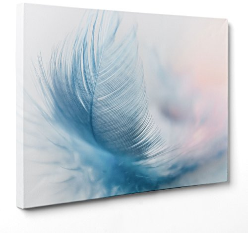 Bild auf Leinwand – gerahmt – fertig zum Aufhängen – Feder – elegant – abstrakt Natur – 30 x 40 cm – ohne Rahmen – (Code 3680)