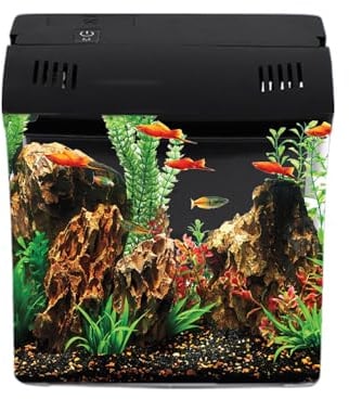 Kleines Aquarium Mit Filter | Kleine Betta Fisch Aquarien - Wohndekoration,Büro Wohnzimmer Schreibtisch