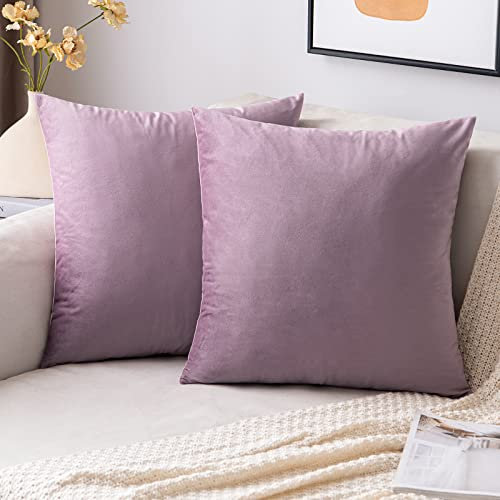 EMEMA Samt Kissenbezug Kissenhülle Dekorative Dekokissen Sofakissen Lendenkissen Wurfkissenbezug mit Verstecktem Reißverschluss Schlafzimmer Sofa 2er Set 40x40 cm Pink Lila
