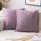 EMEMA Samt Kissenbezug Kissenhülle Dekorative Dekokissen Sofakissen Lendenkissen Wurfkissenbezug mit Verstecktem Reißverschluss Schlafzimmer Sofa 2er Set 40x40 cm Pink Lila