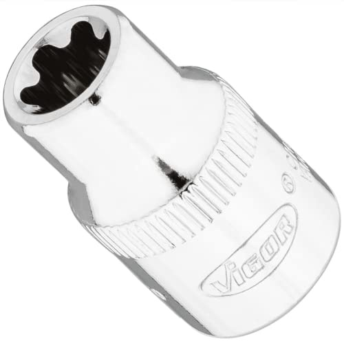 VIGOR Steckschlüsseleinsatz, V7920-EP10, 3/8″, EP Profil, SW E10+ | 3/8 Zoll (10 mm) Vierkant hohl, Antrieb 3/8 Zoll (10 mm) Vierkant hohl, Abtrieb E+ Profil, 24 g, SW E10+ , 3/8″ , EP Profil