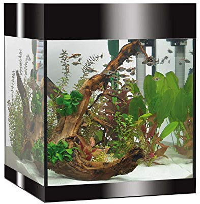 Askoll Pure LED Aquarium, 44 l, Schwarz