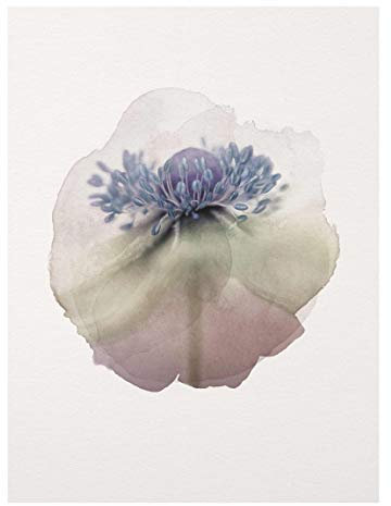 Bilderwelten Glasbild Echtglas Wandbild - Wasserfarben - Anemone in Violett 80 x 60cm