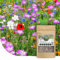 Mélange de fleurs sauvages annuelles et vivaces | 250g - 125 m² | 62 variétés de fleurs de jardin | Fleurs sauvages multicolores & riches en nectar | Attire les abeilles et les papillons