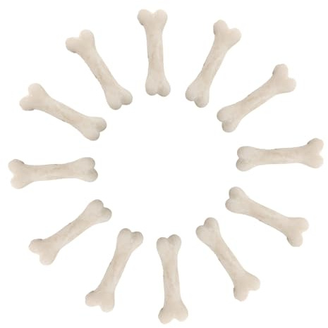 JOINPAYA 20stücke Miniatur Skelett Knochen Teiliges Realistisches Hundeknochen Modell Für Halloween Dekoration Mikrolandschaften Und Kreative Bastelarbeiten Spielzeug Für Feinmotorik Und