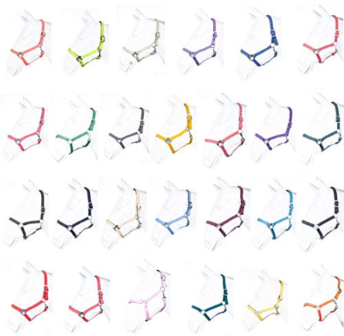 HKM by Reiterladen24 - Halfter unterlegt BASICLINE neon grün Shetty