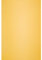 Netuno 10x Sonnen Gelb Bastel Karton DIN A4 21 x 29,7 cm 300g Keaykolour Indian Yellow Karten Reycling Feinkarton farbig Premiumkarton für DIY Kalender Mappen Visitenkarten Menükarten