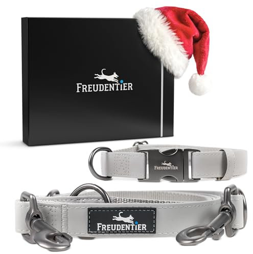 FREUDENTIER Hundehalsband mit Hundeleine 2m im Set - Hundeleine verstellbar - Hundehalsband große Hunde, Halsband Hund kleine & mittelgroße - Dog Collar & Leash - Inkl. Geschenkbox (30-40cm)