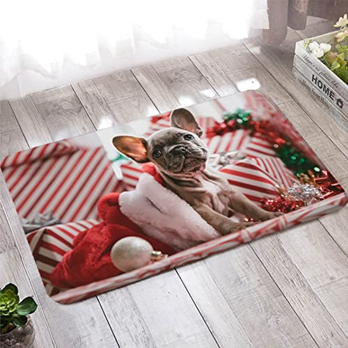 Fußmatte Außen, Antirutschmatte für Teppich 50X80cm Rotbraun Hund und Weihnachtsball für Badezimmer Küche