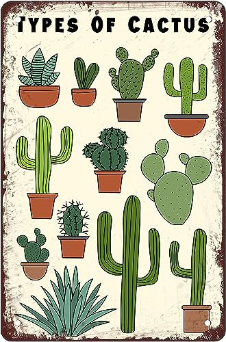 Arten von Kakteen, Vintage-Metall-Blechschild, Kaktus-Aluminium-Poster, Sukkulenten-Wandkunst, Pflanze, botanischer Druck, Wanddekoration für Zuhause und Küche, Bar, Café, Garage, 30,5 x 40,6 cm