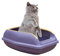 Katzenstreubox - hohe Wandstreublech, Open Top Box | Semi geschlossene Katzen -Toilette mit beweglicher Zaun für einfache Reinigung, tragbare Wurfanpanne für Kätzchen kleine Haustiere Indoor -Tablett