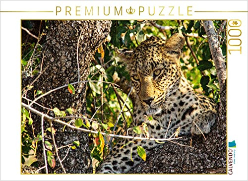 CALVENDO Puzzle Wilder Leopard auf Baum | 1000 Teile Lege-Größe 64 x 48 cm Foto-Puzzle für glückliche Stunden