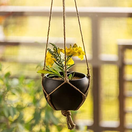 Frienemy Presents Black Goblet' Indoor And Balcony Home Decorative Metal Hanging Planter Pot With Jute #Frienemy-178