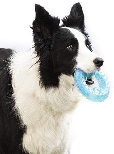 InnovaGoods® Juguetes para Perros, Mordedor Perro 2 en 1, Perros Accesorios Efecto frío, congelable con Ranura para Comida o premios Favoritos, Juguetes Perro para Cuidado Dental y Otros Beneficios.