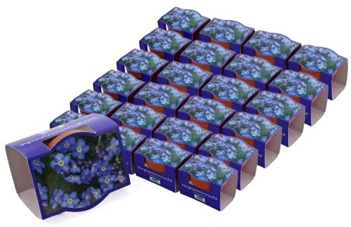 Bull & Bear 25er Set Minipflanzset Vergissmeinnicht, Blumensamen im Topf 40mm, Mini Blumen als Anzuchtset mit Pflegeanleitung